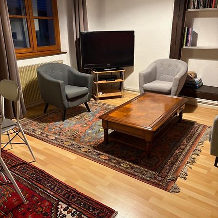 Appartement Authentique Centre Historique Colmar Luaran gambar