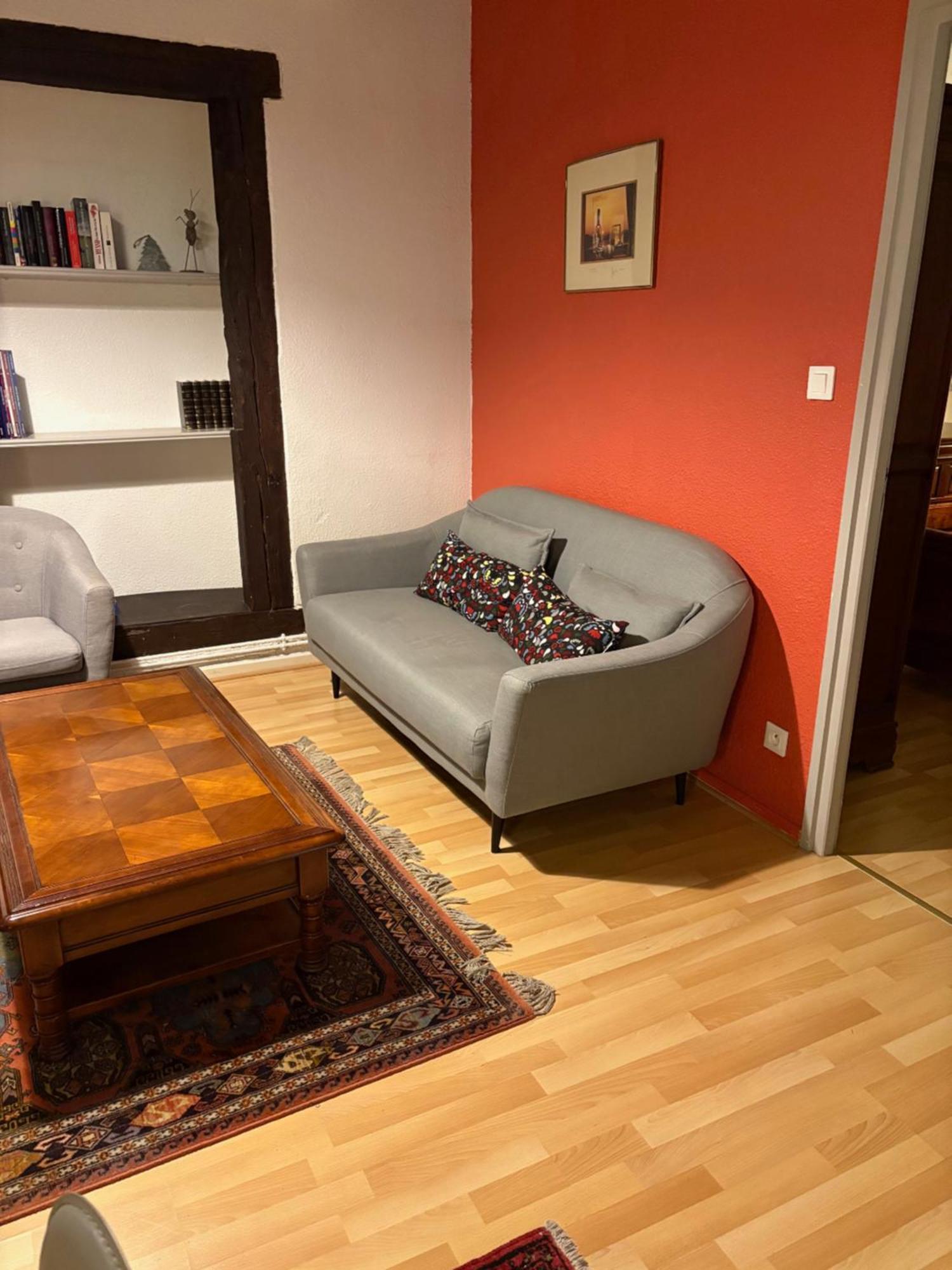 Appartement Authentique Centre Historique Colmar Luaran gambar