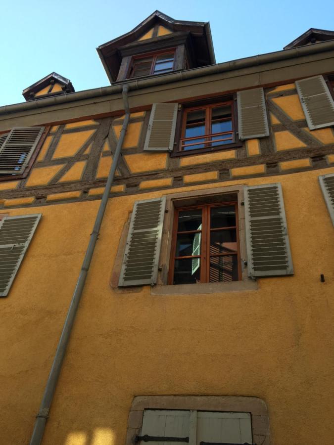 Appartement Authentique Centre Historique Colmar Luaran gambar